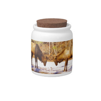 2~ two Bull Elk in the snow Candy Jar