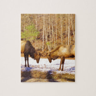 2~ two Bull Elk in the snow Jigsaw Puzzle