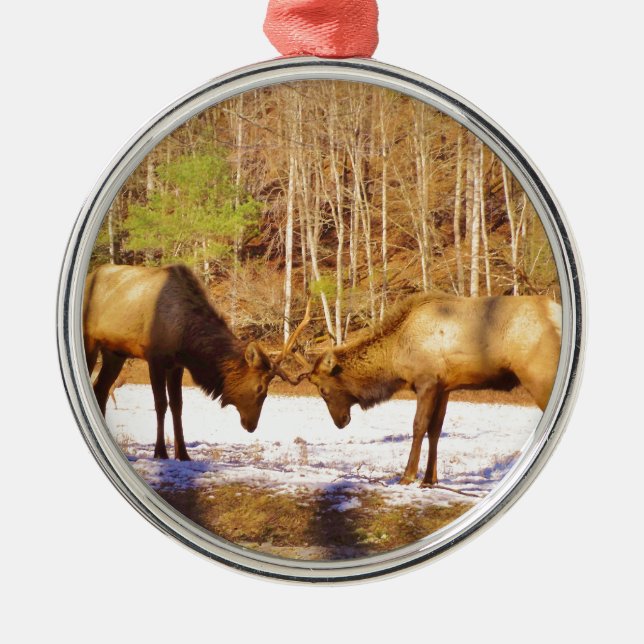 2~ two Bull Elk in the snow Metal Ornament (Front)