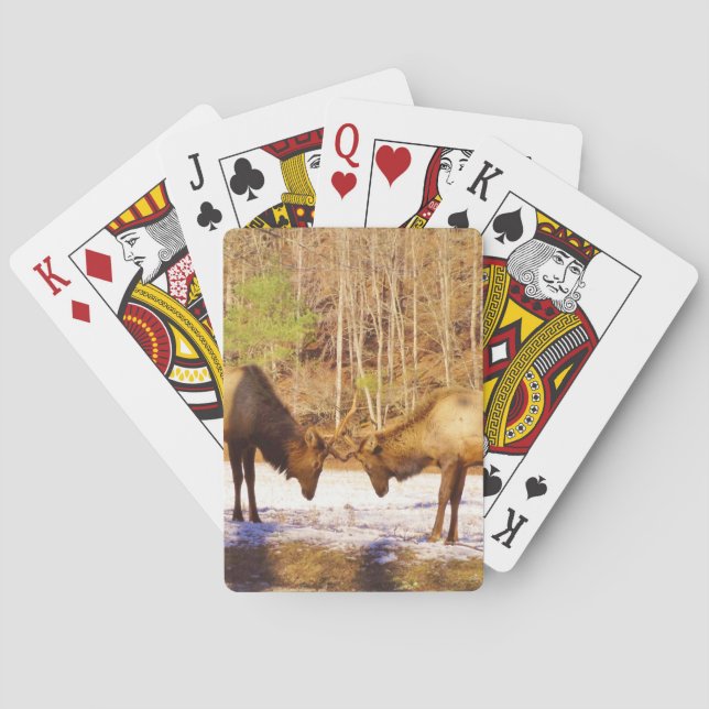 2~ two Bull Elk in the snow Poker Cards (Back)