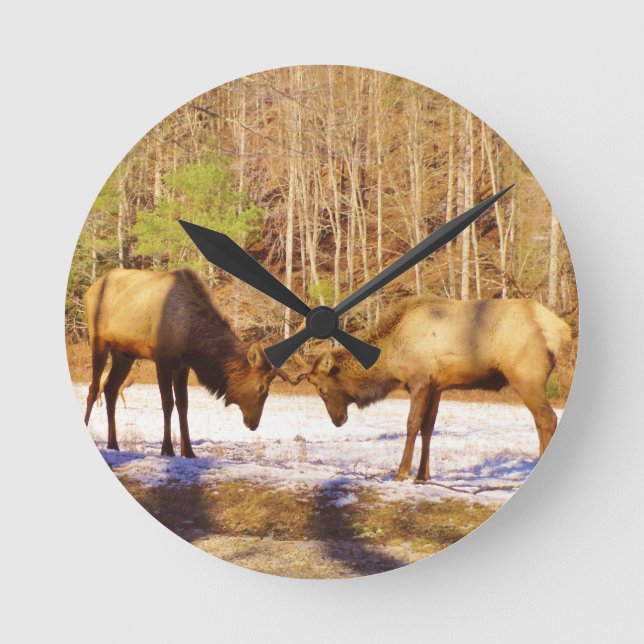 2~ two Bull Elk in the snow Round Clock (Front)