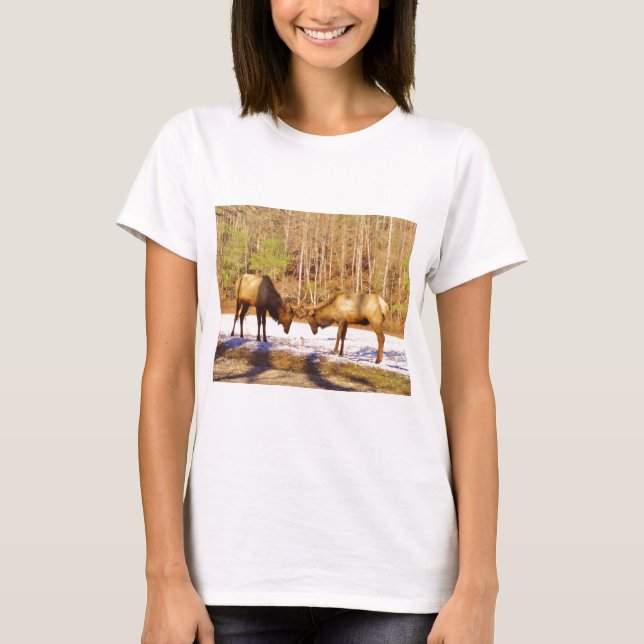 2~ two Bull Elk in the snow T-Shirt (Front)