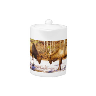 2~ two Bull Elk in the snow Teapot