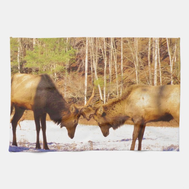 2~ two Bull Elk in the snow Towel (Horizontal)