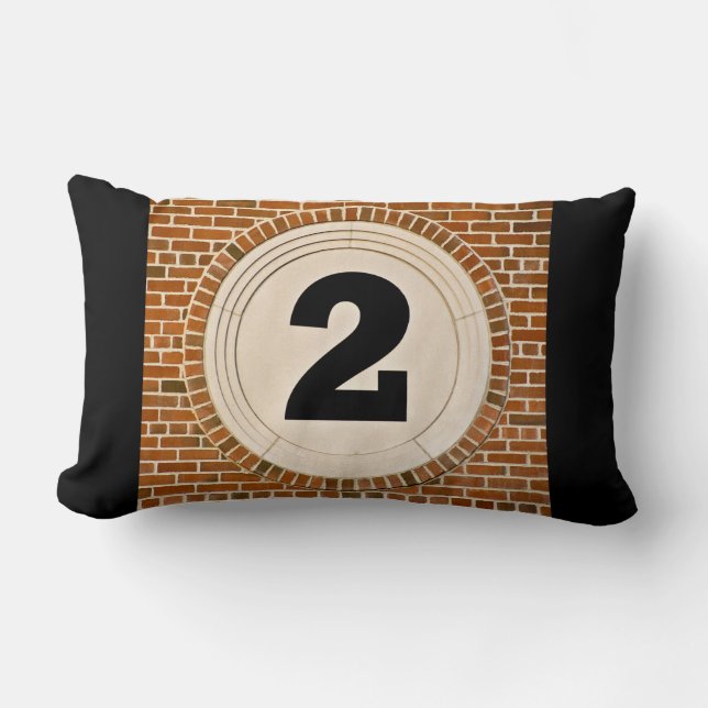 2 Two Too Much? Lumbar Pillow (Front)