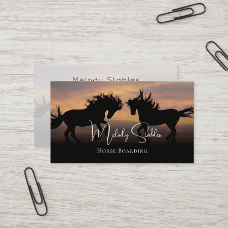 2 Wild Horses Silhouette Photograph Business Card