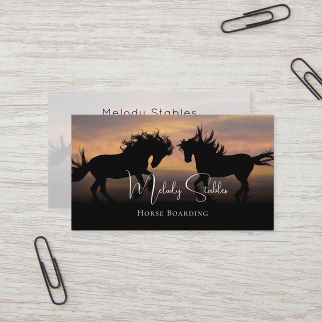 2 Wild Horses Silhouette Photograph Business Card (Front/Back In Situ)