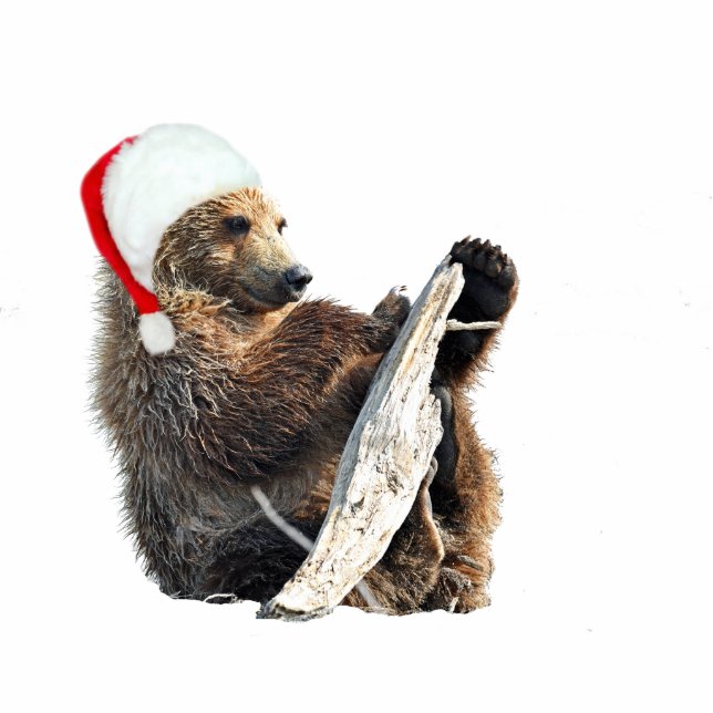 2"x3" Christmas Ornament w/ grizzly bear cub (Front)