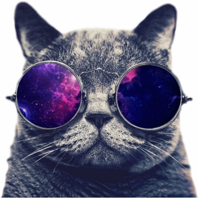 2"x3" Magnet (Front)