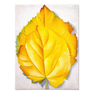2 Yellow Leaves Georgia O'Keeffe Photo Print