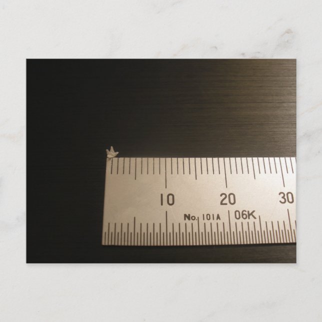 2mm Origami Crane Postcard (Front)