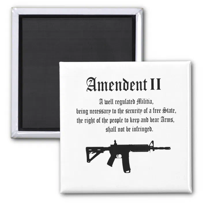 SM134-2nd Amendment Gun Rights Poster 2 by 3 Inch Metal Refrigerator Magnet 
