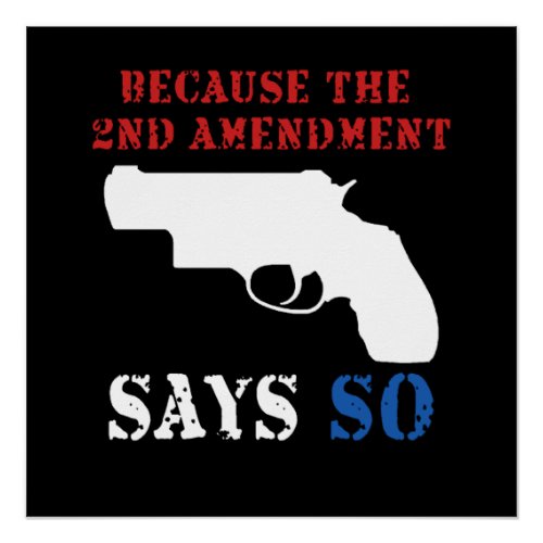 2nd Amendment Poster