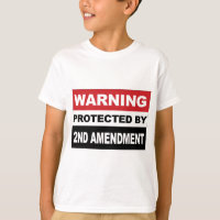 2nd-amendment