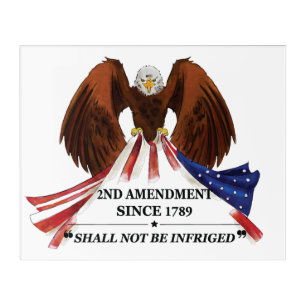 2nd Amendment Throw Pillow Acrylic Print