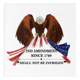 2nd Amendment  Throw Pillow Acrylic Print