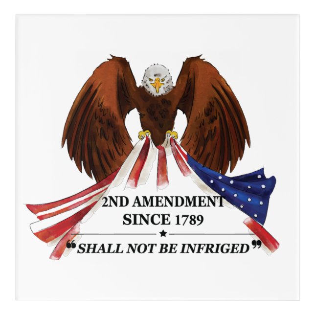 2nd Amendment  Throw Pillow Acrylic Print (Front)