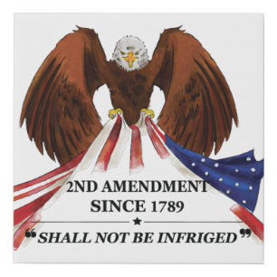 2nd Amendment  Throw Pillow Faux Canvas Print