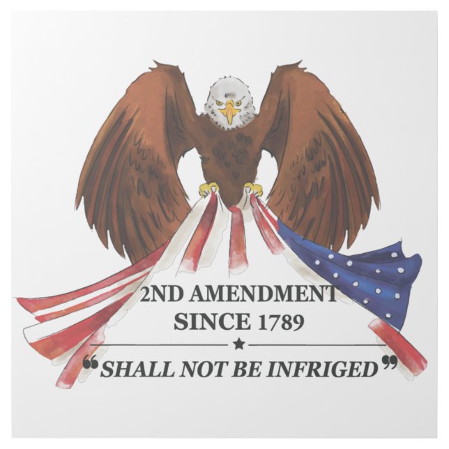 2nd Amendment  Throw Pillow Gallery Wrap (Front)