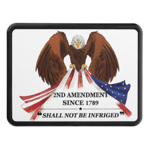 2nd Amendment  Throw Pillow Hitch Cover