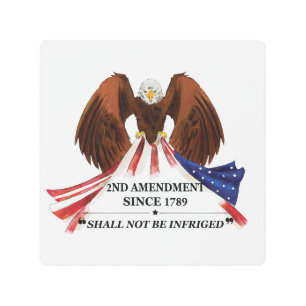 2nd Amendment Throw Pillow Metal Print