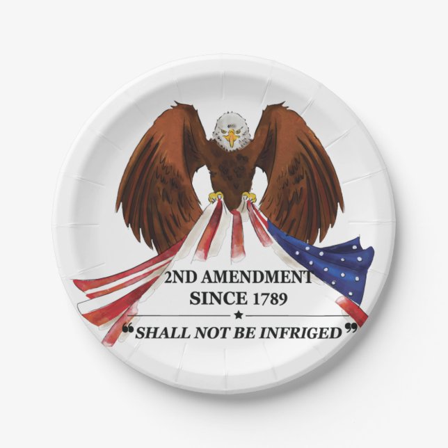 2nd Amendment  Throw Pillow Paper Plates (Front)