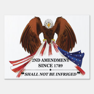 2nd Amendment  Throw Pillow Sign