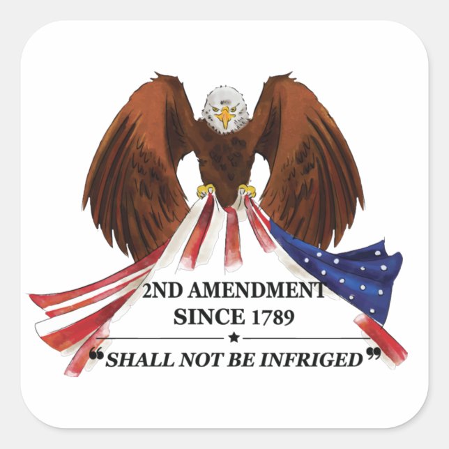 2nd Amendment  Throw Pillow Square Sticker (Front)