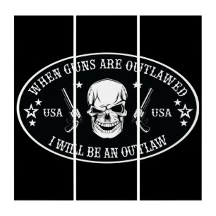 2nd Amendment  Throw Pillow Triptych