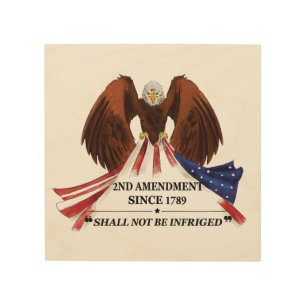 2nd Amendment Throw Pillow Wood Wall Art