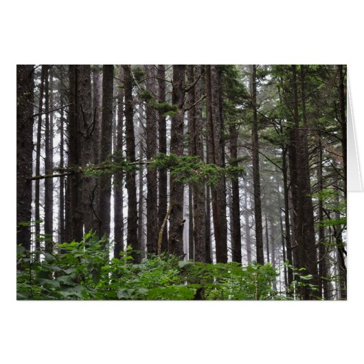 2nd Beach at La Push, WA (Front Horizontal)