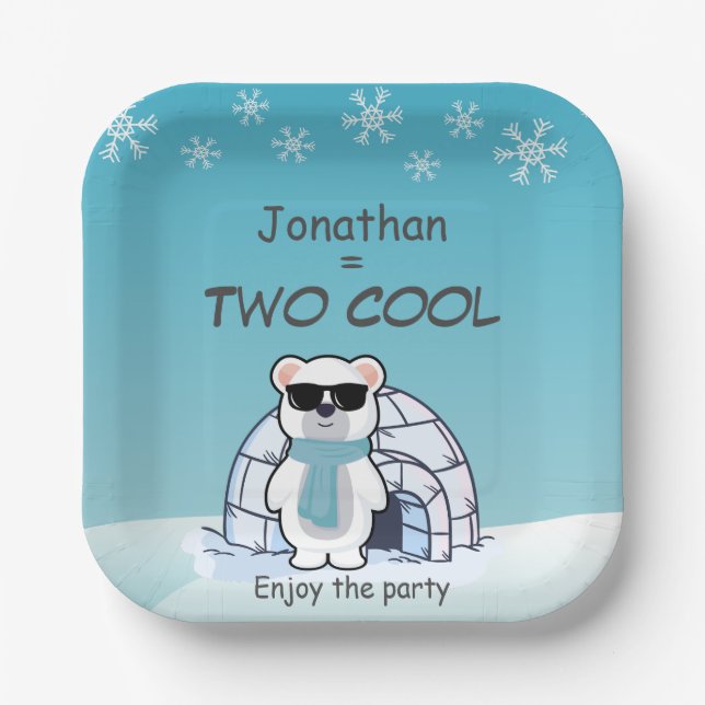 2nd Birthday Boy Two Cool Polar Bear Iglo   Paper Plates (Front)