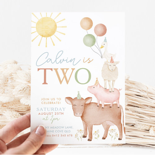  2nd Birthday Farm Animals Barnyard Party Boys
