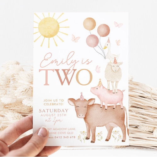 2nd Birthday Farm Animals Barnyard Party Girls