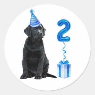 2nd Birthday Puppy Theme- Cute Dog Blue Boy Pawty Classic Round Sticker