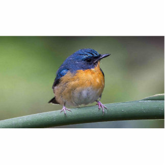 2x3 photo sculpture magnet