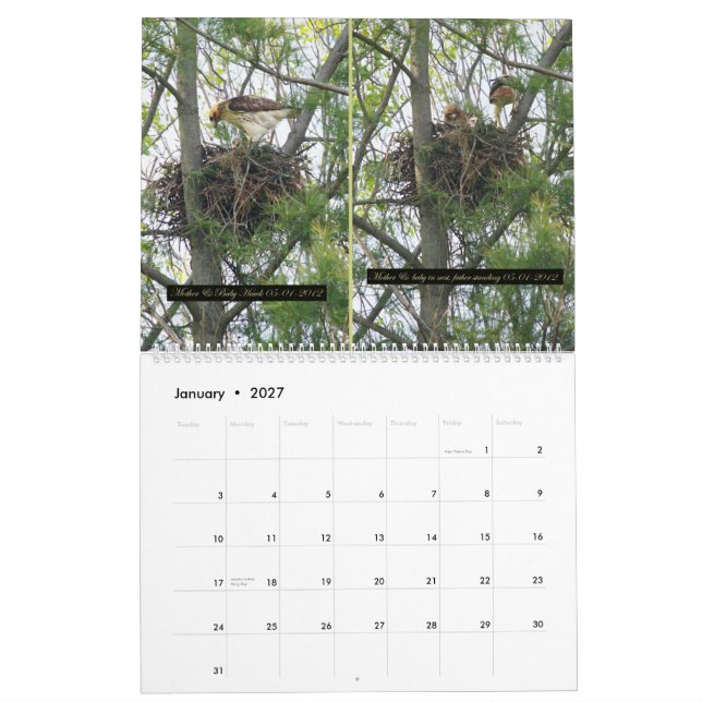 2yr. calendar/hawk development/ Robert E. Weiss Calendar (Jan 2027)