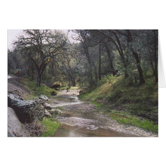 30. California Stream Cards (Front Horizontal)