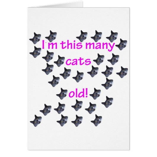 30 Cat Heads Old Cards (Front)
