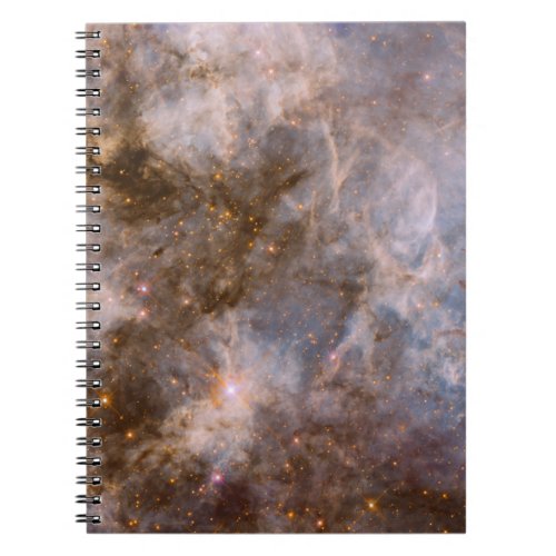 30 Doradus Nebula in Visible Light Notebook