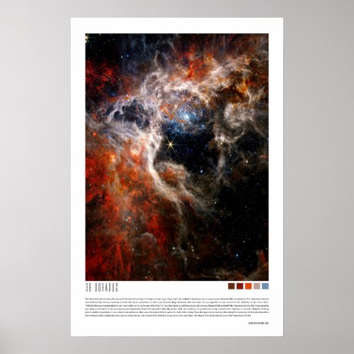 30 Doradus Tarantula Nebula NGC 2070 Poster