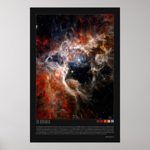30 Doradus Tarantula Nebula NGC 2070 Poster