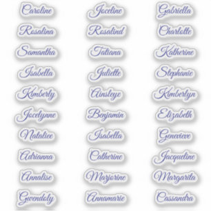 30 Elegant Wedding Guest Name Calligraphy Stickers