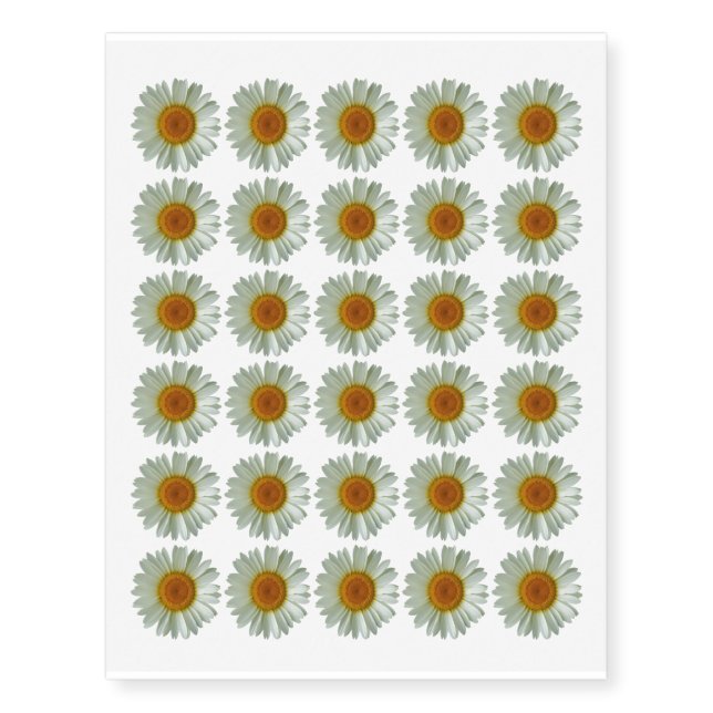 30 Floral White Daisy Temporary Tattoos (Front)