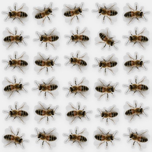 30 Life_sized Honeybee Honey Jar Lid Stickers