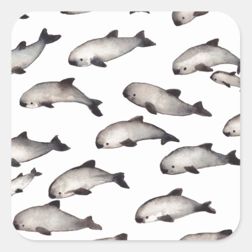 30 vaquita porpoise dolphin square sticker