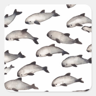 30 vaquita porpoise dolphin square sticker