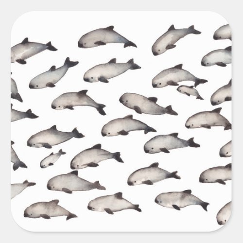 30 vaquita porpoise dolphin square sticker