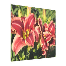30"x20" Daylilies