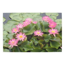 30"x20" Water Lilies